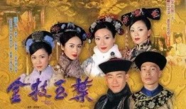金枝欲孽全集在线观看,宫廷权谋与情感纠葛的巅峰之作