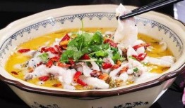 男子爆料酸菜鱼事件视频,揭秘后厨黑幕，食品安全引关注