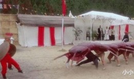 铁鸡斗蜈蚣在线观看