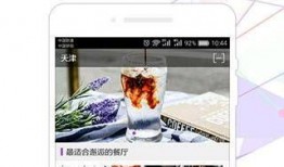 外国点餐爆料视频下载软件,热门下载软件大盘点