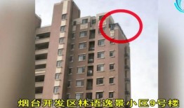 林舒舒和林语最新爆料,揭秘娱乐圈幕后真相