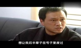 李大头爆料少爷视频,少爷视频背后的惊人真相