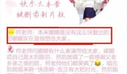 圈内爆料谢娜范冰冰,揭秘娱乐圈背后的故事