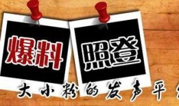 爆料新闻,爆料新闻背后的惊人真相