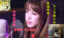 囡囡粤语在线观看