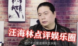 汪海林娱乐圈爆料,揭秘明星幕后真相