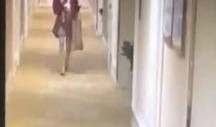 网友爆料朝阳酒店视频大全,揭秘酒店内部真实情况