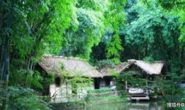 7年前酸菜爆料视频真实,真相与反思