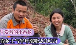 农民网红爆料视频大全,揭秘农村生活新视角