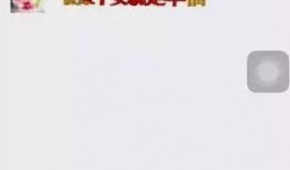 金华母女爆料最新消息,揭露惊人真相，引发社会关注