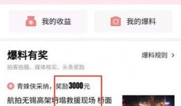 今日头条我要爆料是什么,用户权益守护者的新平台