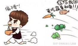 网红挑食吃瓜什么事情,一场关于美食与品味的争议风暴