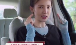 金晨综艺爆料视频大全最新,揭秘明星幕后故事