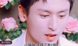张家三少爆料视频大全,揭秘不为人知的幕后故事