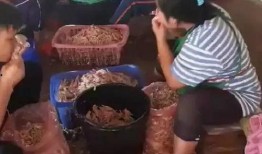 爆料无骨鸡脚视频