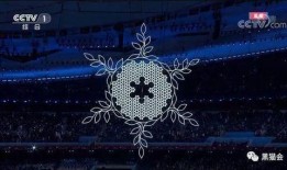 辽宁网友爆料冬奥会视频,冬奥会精彩瞬间大盘点