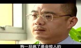 李大头爆料少爷视频,少爷视频背后的惊人真相