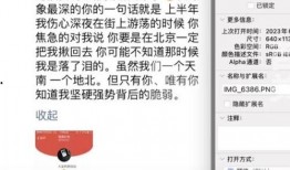 平安爆料董小姐视频,平安爆料视频背后的真相与争议