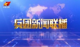 兵团更新爆料新闻视频,揭秘更新爆料新闻视频背后的故事