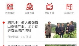 在线爆料新闻特点,揭秘新闻背后的真相与争议