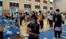 新宇星城爆料最新消息,揭秘神秘项目背后的惊人真相