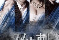 在线观看双生刺