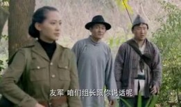 野山鹰在线观看,在线观看，探寻自然与生命的壮丽篇章