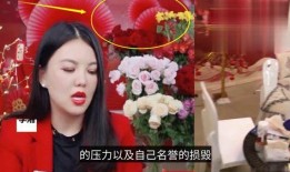 明星被拍视频爆料违法吗