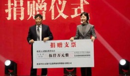 弘元新材爆料最新消息,揭秘行业变革背后的关键动态