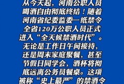河南最新的爆料新闻视频,揭秘某事件背后惊人真相！