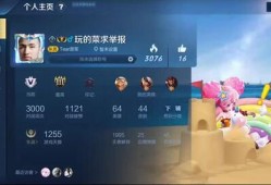 王者爆料打架视频下载软件,独家打架视频下载神器大揭秘