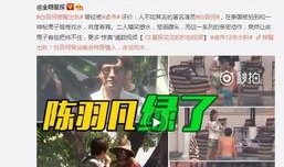 戈雅新皮肤爆料视频下载,神秘面纱下的华丽蜕变