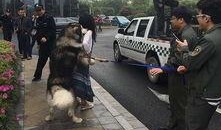 青岛城管爆料案件最新