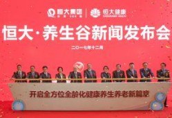 最新恒大爆料新闻报道,揭秘债务危机背后的真相