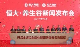 最新恒大爆料新闻报道,揭秘债务危机背后的真相